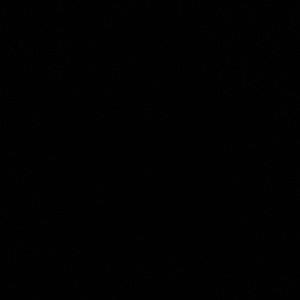 Meet your Posher, Danika